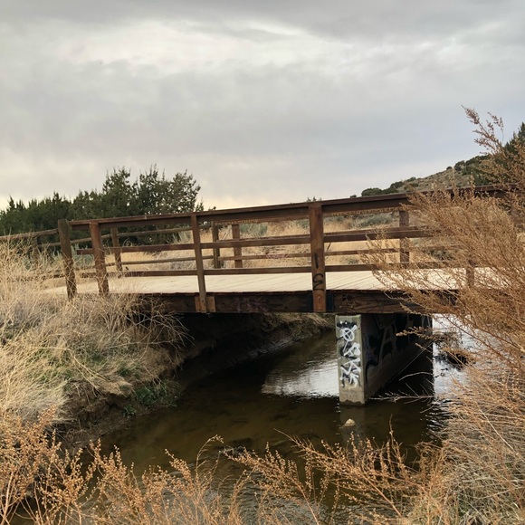 Meet your Posher, Ruby - Picture 1 of 1